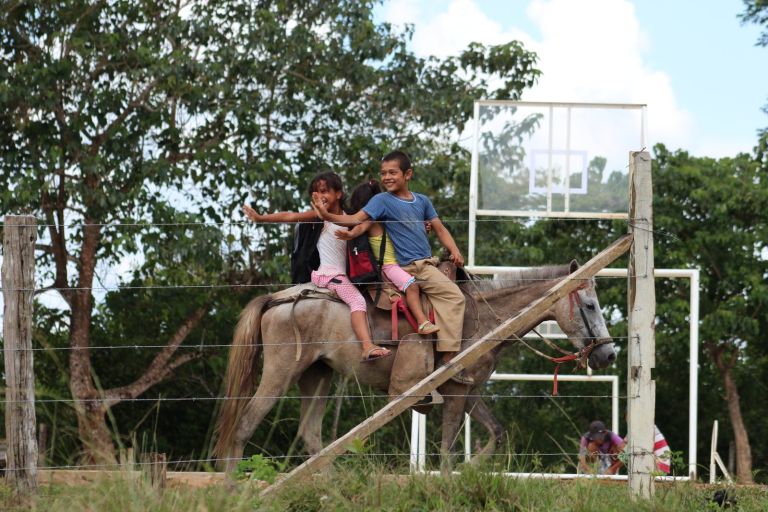 Tres niños llegan a la escuela montados en un mismo caballo y saludan con la mano, junto a la cancha.