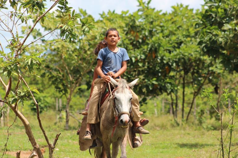 Un niño cabalga hacia la escuela por un potrero arbolado, con su hermana sentada detrás.