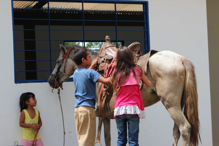 Dos niños ensillan un caballo junto a la pared de un aula nueva, mientras una niña pequeña los mira.