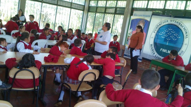 social fase ii04