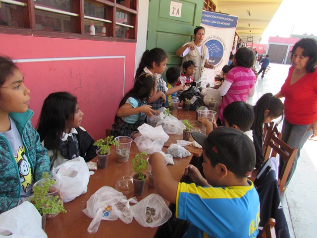 en-chimbote-realizamos-la-campana-escuelas-verdes