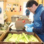 Voluntarios hacen seleccionan los alimentos para entrega de mercados a familias