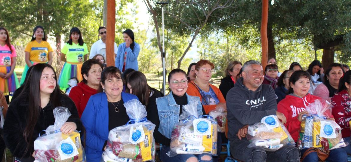 Entrega de ayudas en Chile