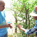 "Sembrando Esperanza" en la Guajira.