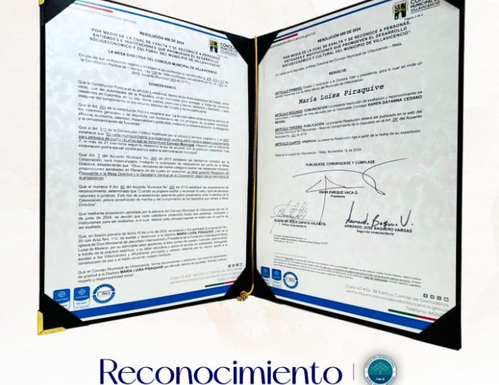 web-reconocimiento-meta-1