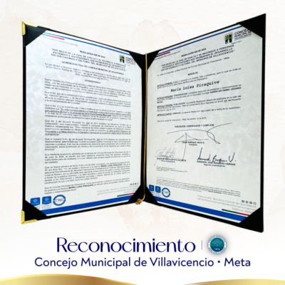 web-reconocimiento-meta