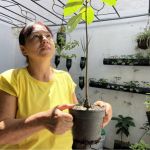 Participante en un momento de interacción humana y ambiental