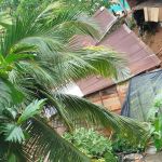 Asistencia por la emergencia invernal Apoyo por las intensas lluvias en Chocó