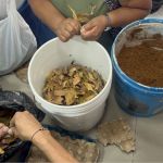 Estudiantes manipulan elementos escenciales para la huerta casera
