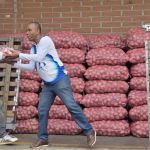 Voluntarios recolectando las donaciones para llevarlas al camión y trasladarlas al centro de acopio