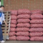 Voluntarios recolectando las donaciones para llevarlas al camión y trasladarlas al centro de acopio