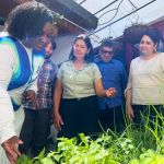 La profesora señala las plantas de la huerta mientras explica diferentes técnicas