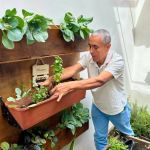 Un estudiante transplanta hierbabuena en la huerta vertical