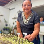 Una mujer participante del curso marca las plantas que fueron germinadas en el semillero